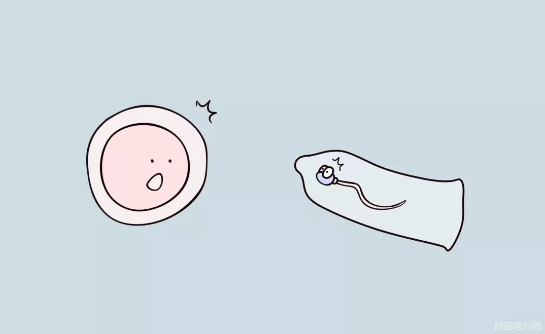 姨妈前后多久排卵,姨妈前后多久属于安全期