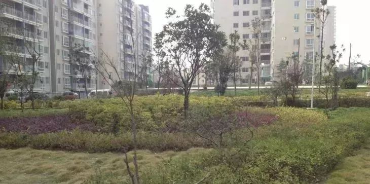 地铁2号线沿线学区房,地铁1号线双学区房