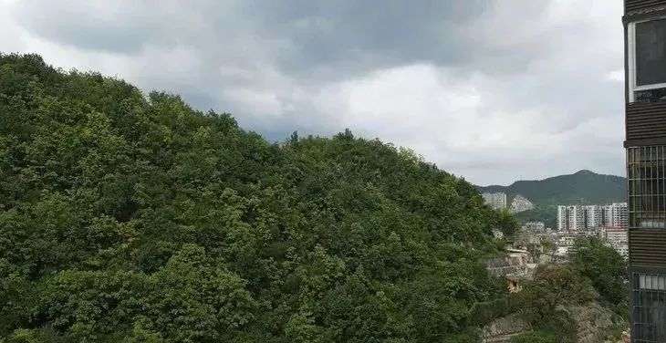 地铁2号线沿线学区房,地铁1号线双学区房