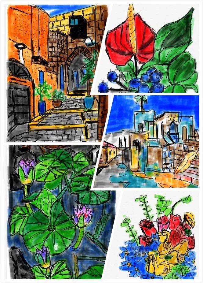 寻找以色列的中国元素|一带一路采访记者手记N0.10