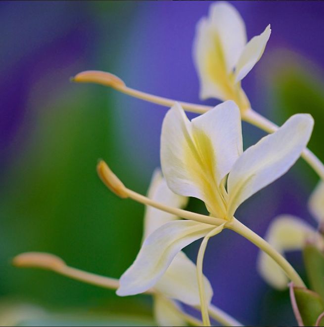 宋慧乔开播新剧,宋慧乔新剧美貌