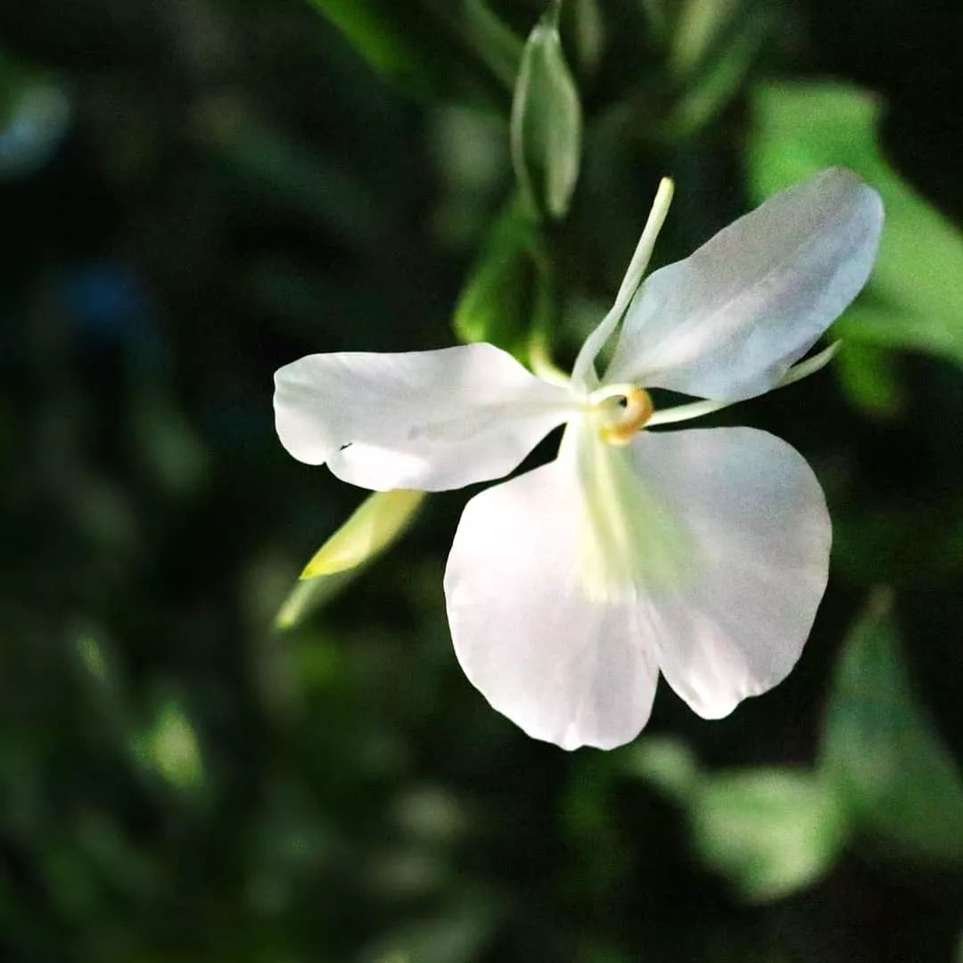 宋慧乔开播新剧,宋慧乔新剧美貌