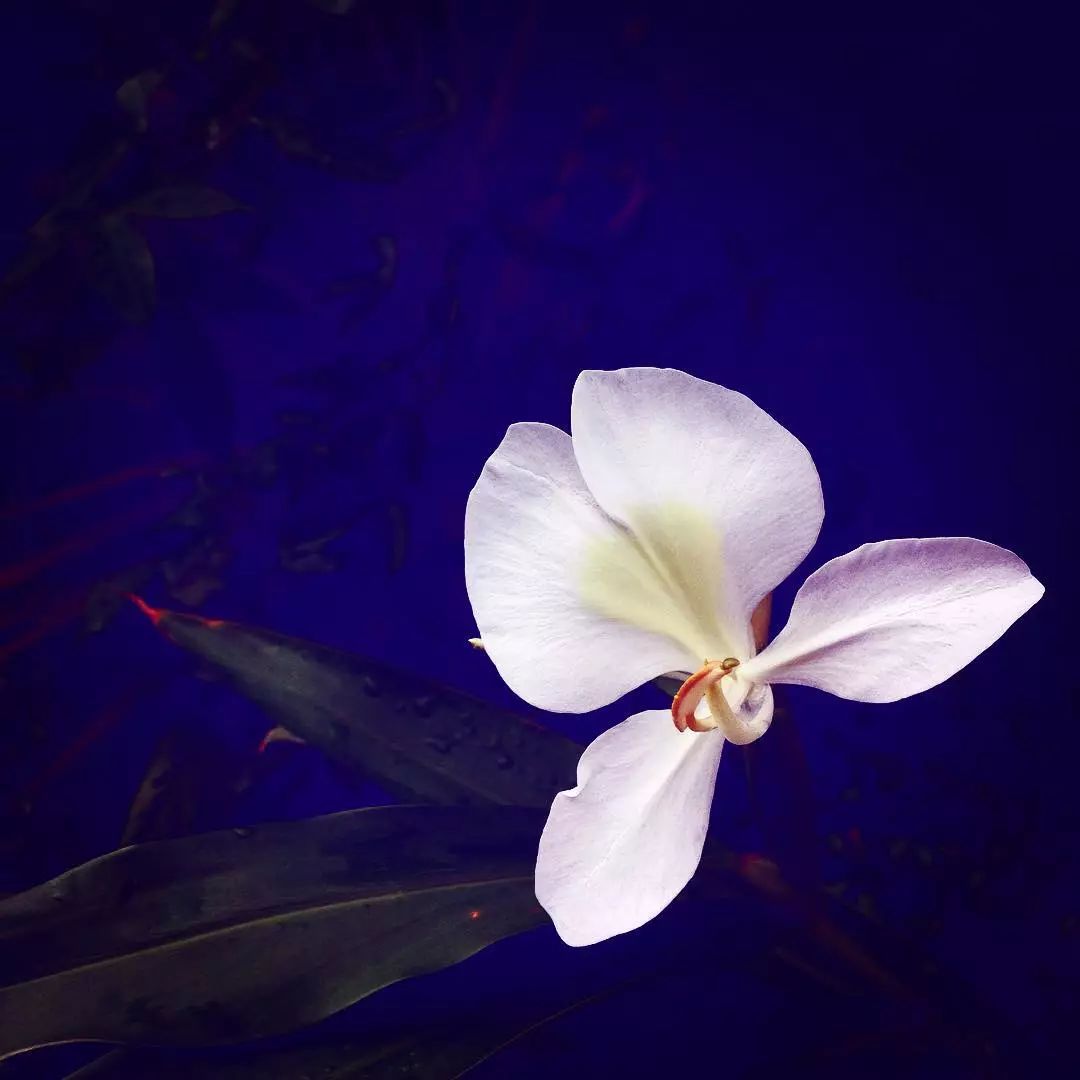 宋慧乔开播新剧,宋慧乔新剧美貌