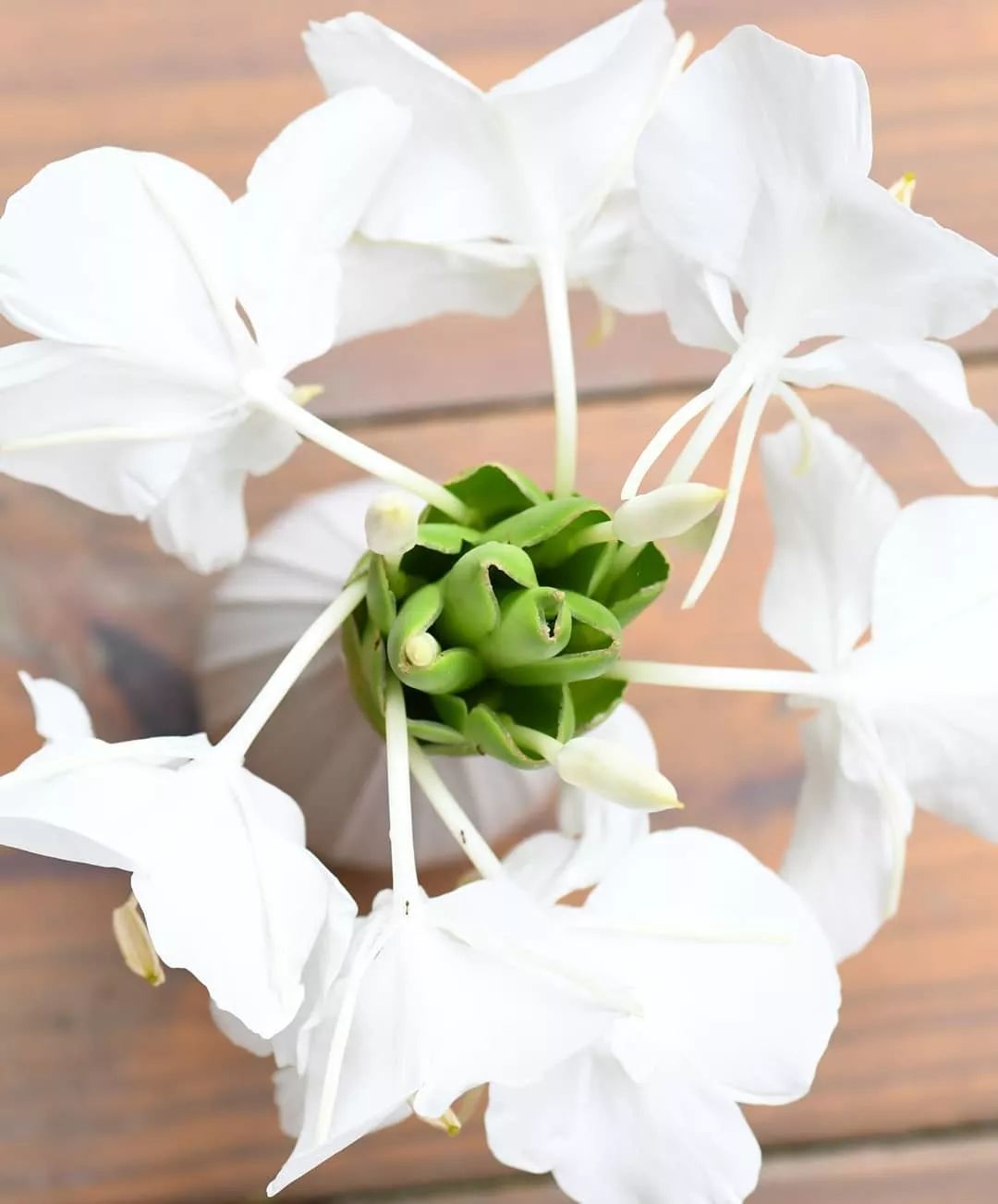 宋慧乔开播新剧,宋慧乔新剧美貌