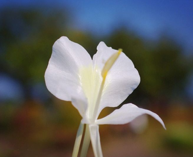 宋慧乔开播新剧,宋慧乔新剧美貌