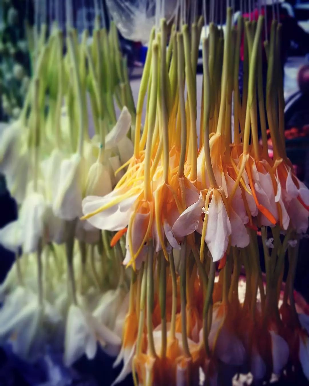 宋慧乔开播新剧,宋慧乔新剧美貌