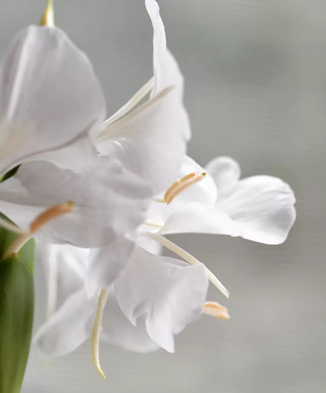 宋慧乔开播新剧,宋慧乔新剧美貌