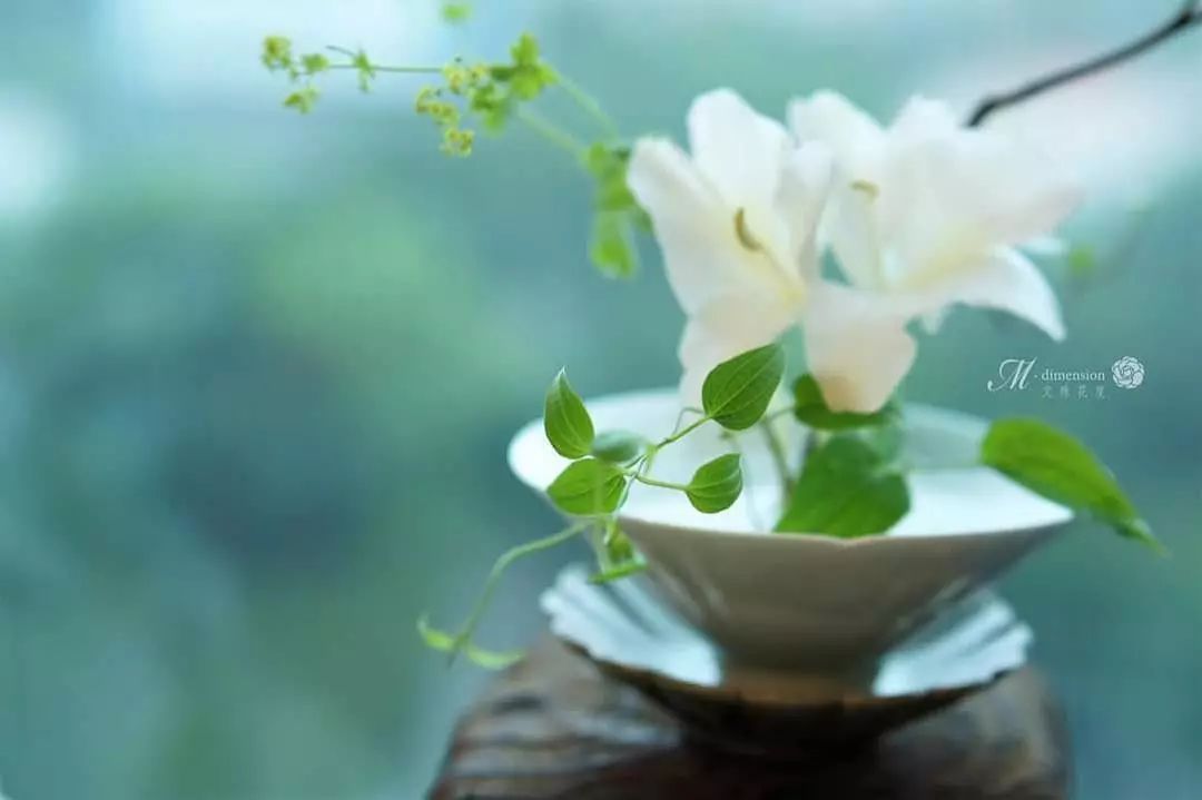 宋慧乔开播新剧,宋慧乔新剧美貌