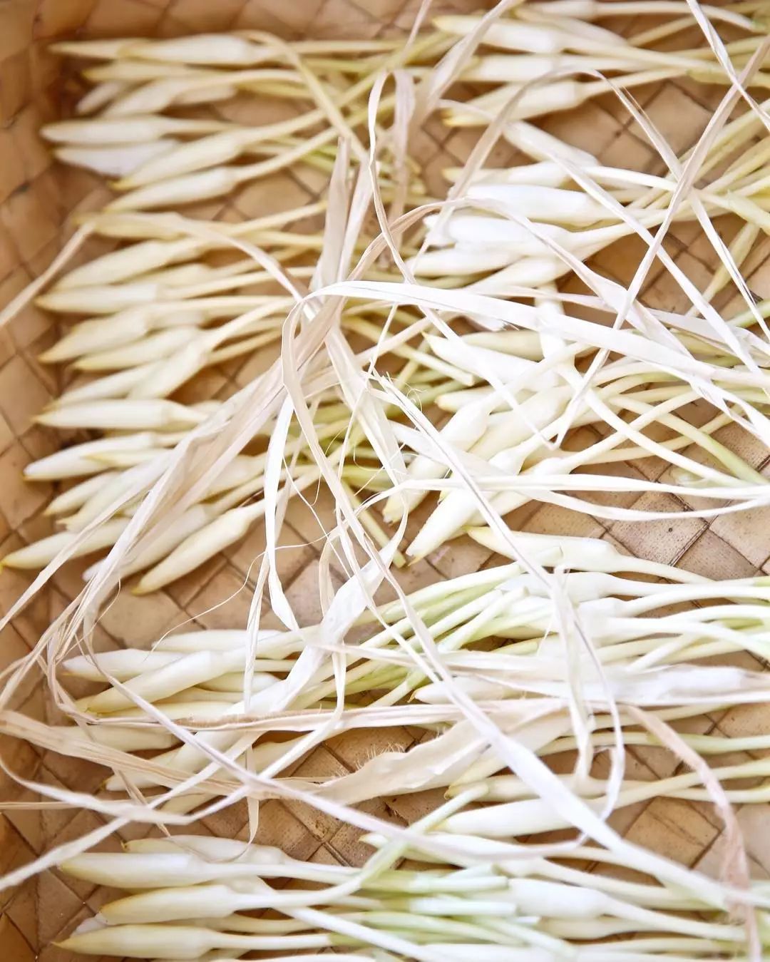 宋慧乔开播新剧,宋慧乔新剧美貌