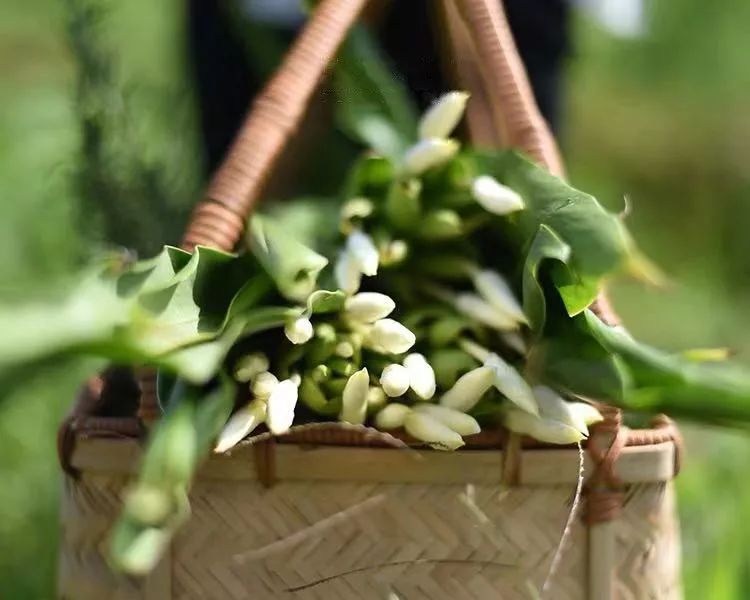 宋慧乔开播新剧,宋慧乔新剧美貌