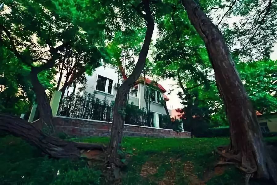 西宁到青岛飞机多长时间,西宁到青岛有多远