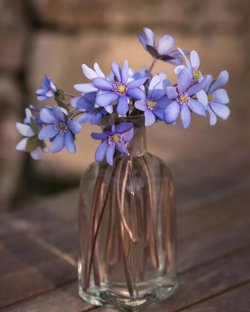 互联网人：焦虑、抑郁症的自我治疗方法！