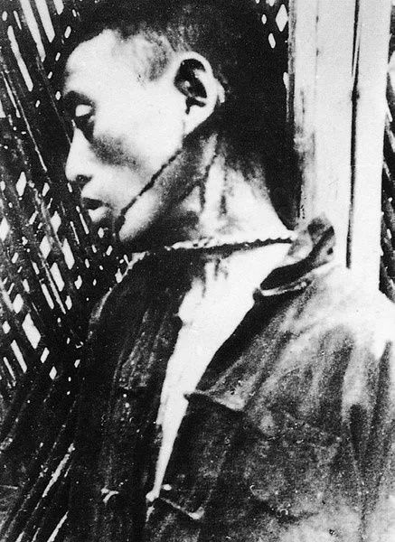 *京大南***杀屠**和我有什么关系？