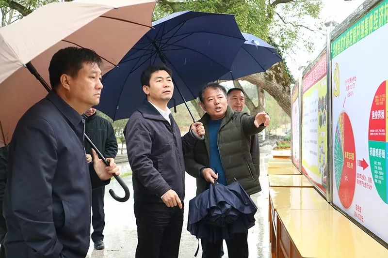 玉林市白松涛调研活动,白松涛访谈