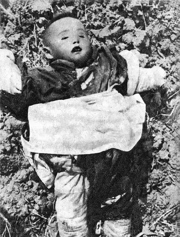 *京大南***杀屠**和我有什么关系？