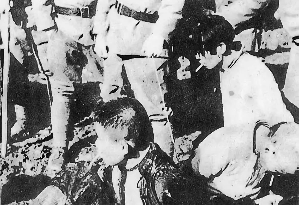 *京大南***杀屠**和我有什么关系？