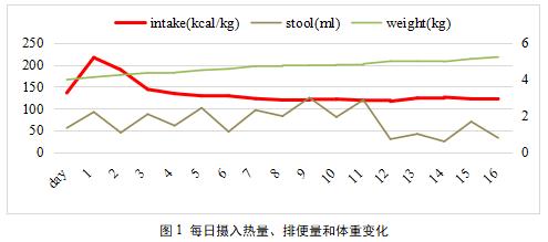 重症患者营养支持病历分享,重度营养不良诊治指南