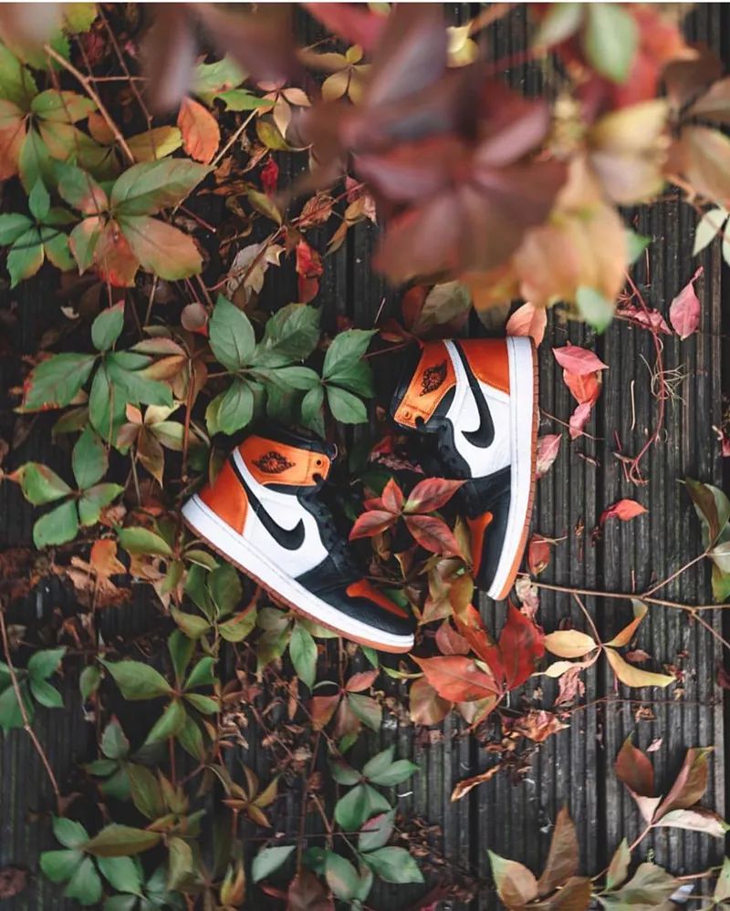 airjordan1哪个配色最值得买,airjordan1有多少个配色