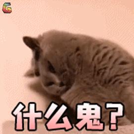 网易考拉再陷“假货”罗生门?大品牌背书海淘平台也不省心?真相是...