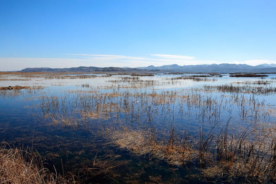 威宁草海一日游最佳攻略,威宁草海之旅