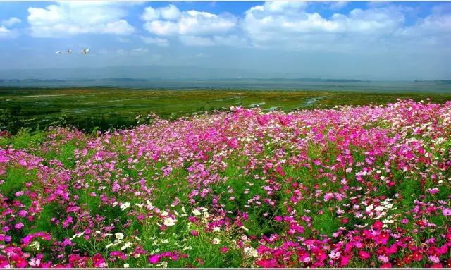 威宁草海一日游最佳攻略,威宁草海之旅
