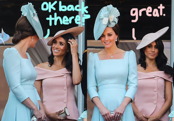 姊呮牴瀵瑰嚡鐗圭殑鐪嬫硶,姊呮牴绮変笣鎵硅瘎鍑壒