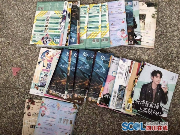 鍋囬挒琚姄妗堜緥,姘戣鎶撹幏鍋囬挒