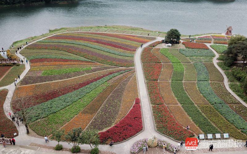 香山红叶满山遍野,香山公园红叶观赏胜地