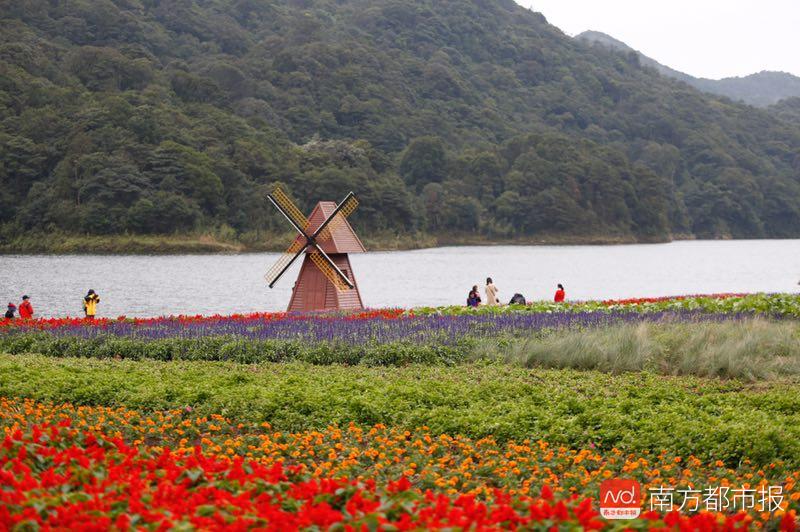 香山红叶满山遍野,香山公园红叶观赏胜地
