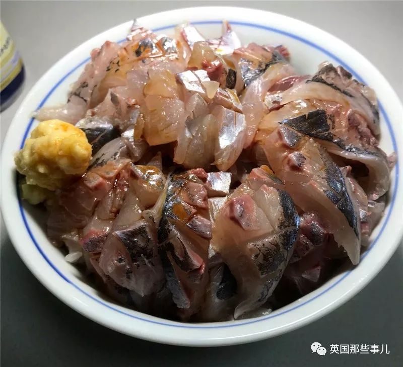 水族馆里面有什么样的小鱼,水族馆鱼虾