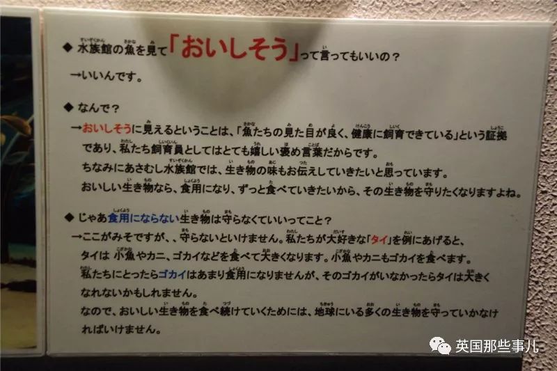 水族馆里面有什么样的小鱼,水族馆鱼虾