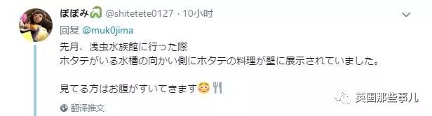 水族馆里面有什么样的小鱼,水族馆鱼虾