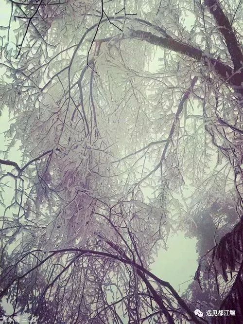 青城山玩雪泡温泉,冬天到青城山泡温泉的好地方