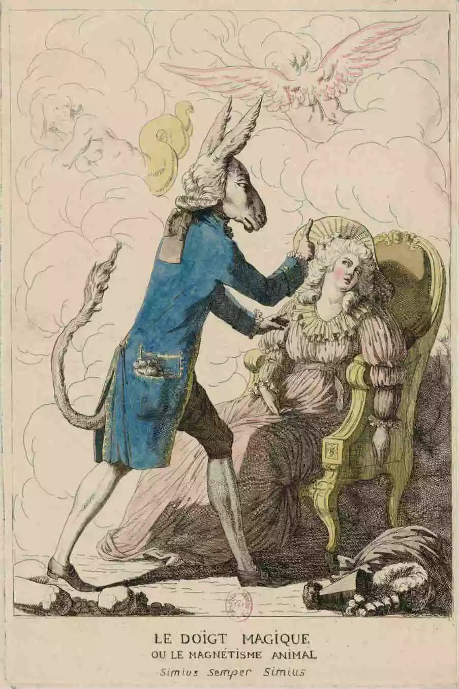 水蛭放血治疗什么病,水蛭放血术