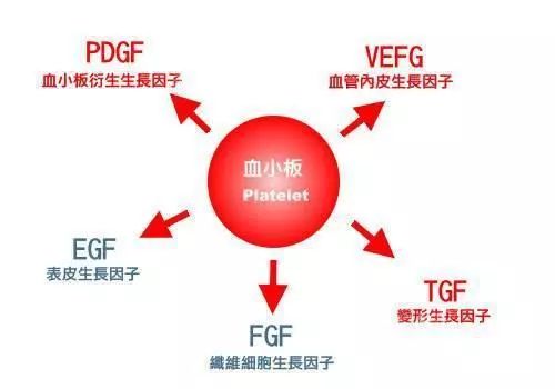 头等大事脱发青年自救指南,秃头女孩必看6大脱发误区