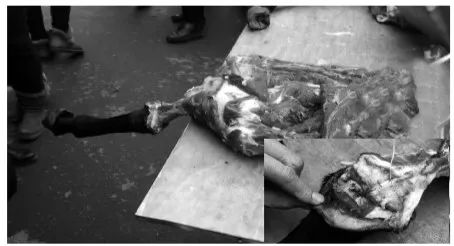 舆情速览,辅助用药整治最新消息