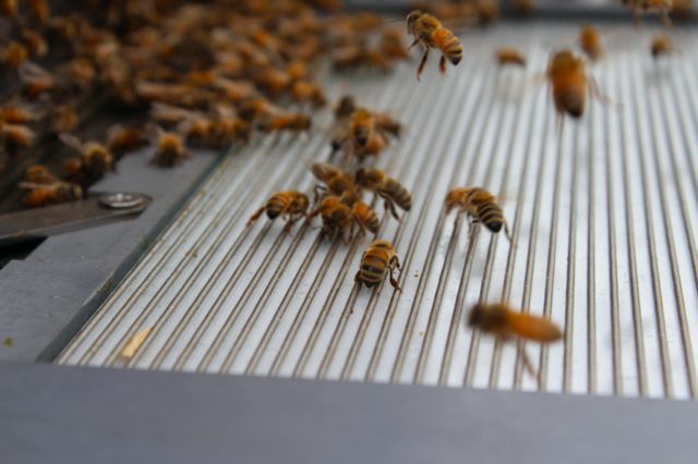 “钢铁直男”玩美妆？他从新西兰带回了最纯净的“颜值神器”，还撩到了火箭少女吴宣仪