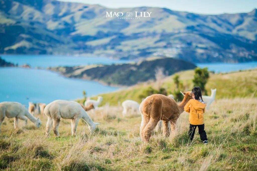 “钢铁直男”玩美妆？他从新西兰带回了最纯净的“颜值神器”，还撩到了火箭少女吴宣仪