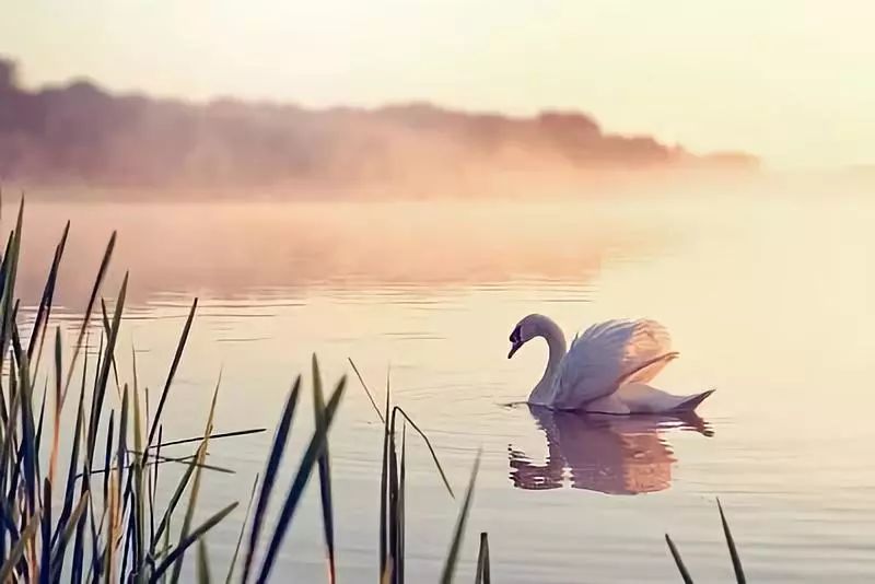 做到这几点你就是世上最有福之人,属马人做到这四点就是有福之人