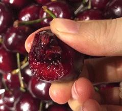 赣州车厘子最新官方消息,赣州产车厘子