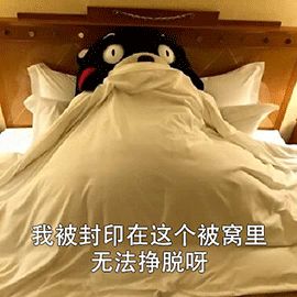 万里挑一，“职”想要你！超多招聘信息快来获取！