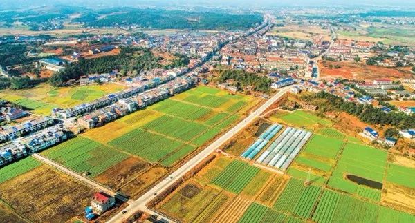 石河子最新未来发展规划,石河子明年整体规划