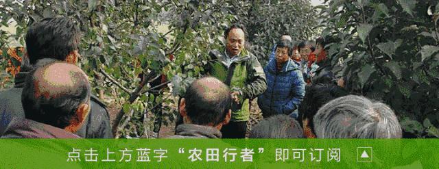 有机肥不为人知的秘密,史上最全的有机肥