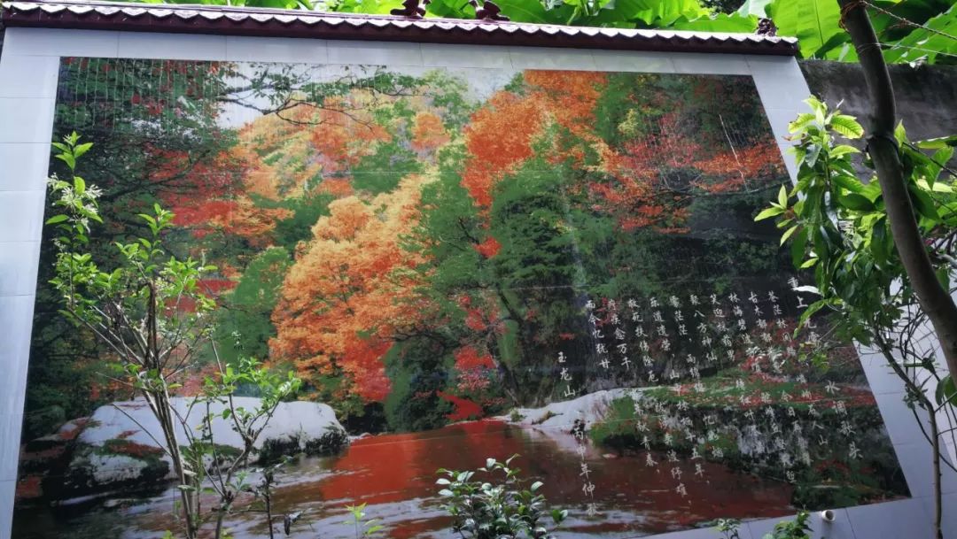 改革开放40年戏曲名人专访,改革开放40年风云人物专访