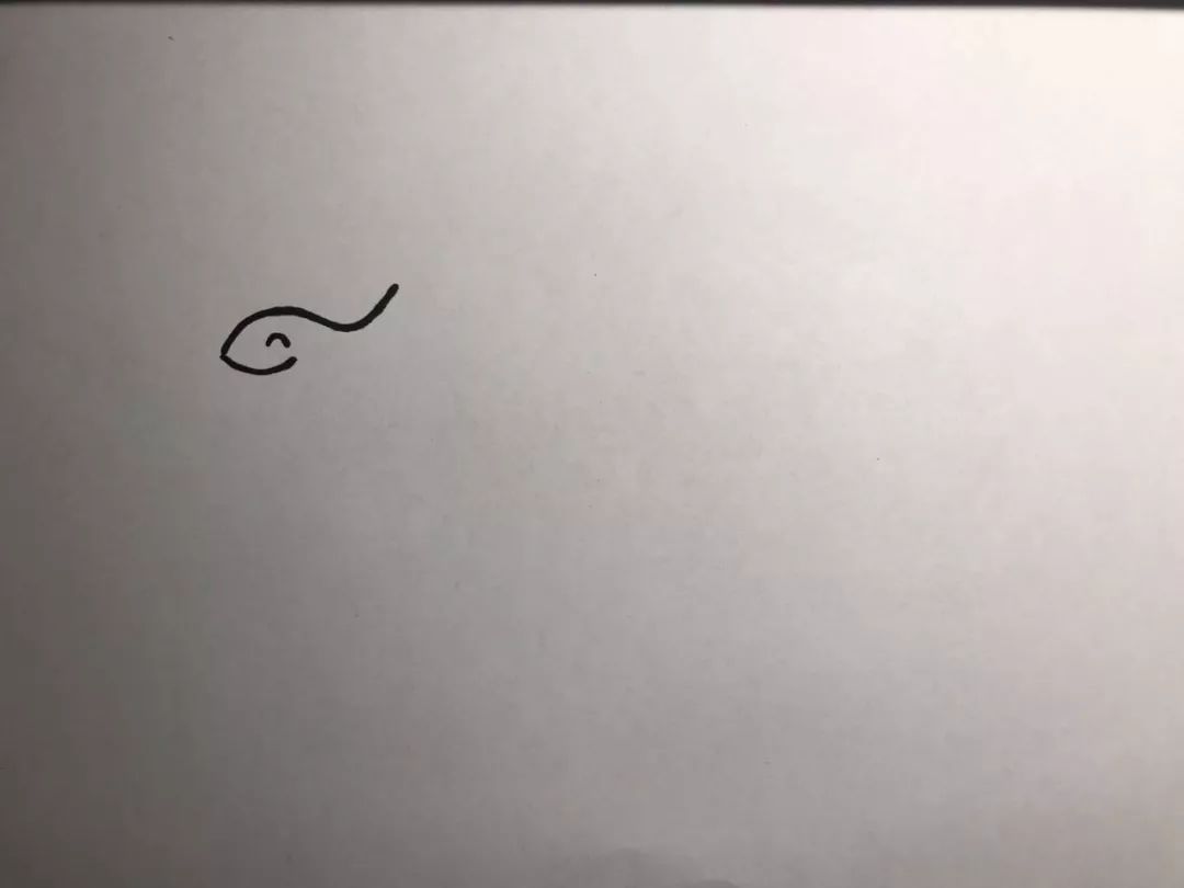 小盗龙画室——剑龙