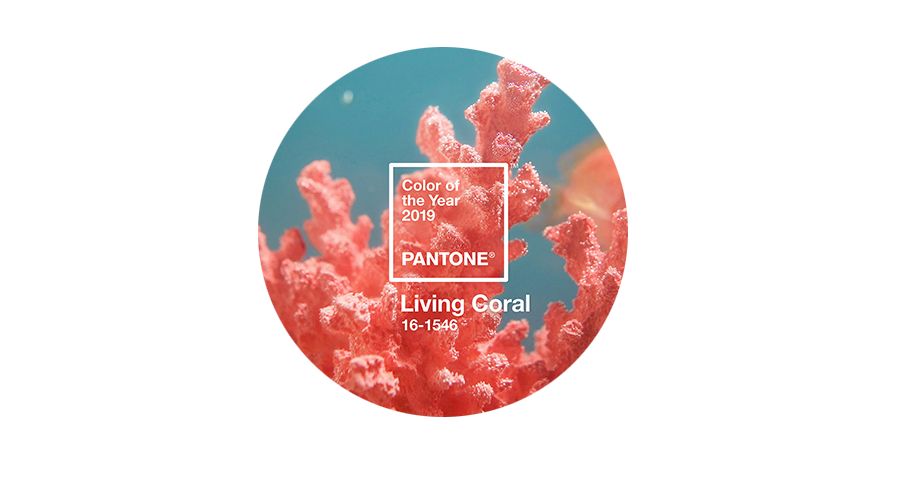 转发锦鲤真的能带来好运吗,转发锦鲤为什么受欢迎