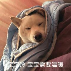 每日一笑你觉得哪个更好笑,每日一笑差距