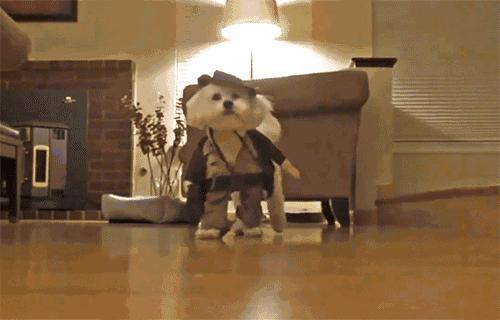 每日一笑你觉得哪个更好笑,每日一笑差距