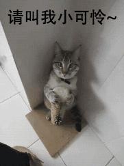 每日一笑你觉得哪个更好笑,每日一笑差距