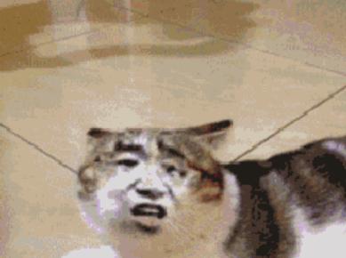 每日一笑你觉得哪个更好笑,每日一笑差距